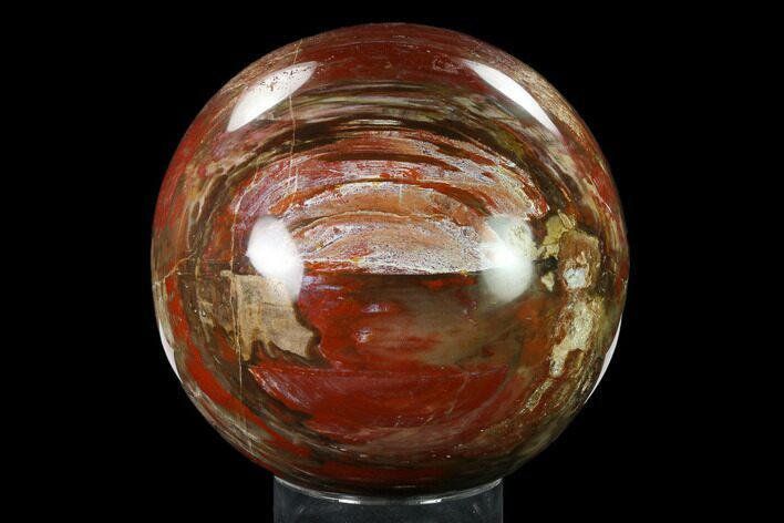Colorful, Petrified Wood Sphere - Madagascar #135322